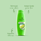 Green shampoo bottle with lime extract on a green background