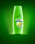 Fresh n Joy Shampoo - Sebum Control with Lime Extract Formula