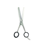 Hair cutting scissors on a white background