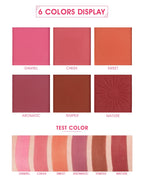 IMAGIC 6 COLOR TOUCH BLUSH PALETTE