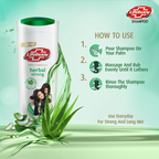 Lifebuoy Herbal Strong Shampoo 90Ml
