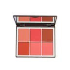 Makeup palette with six different shades of blush on a white background