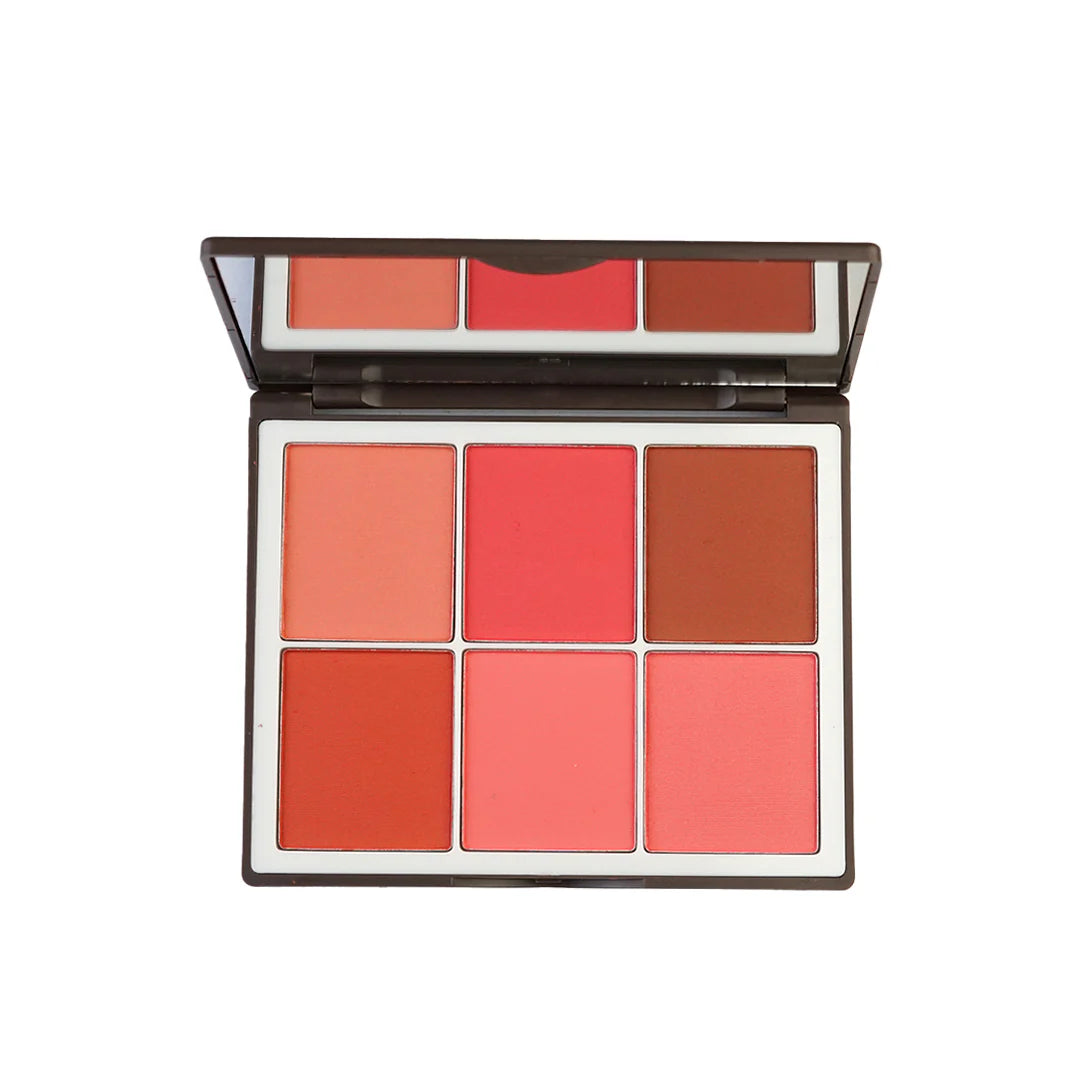 Makeup palette with six different shades of blush on a white background